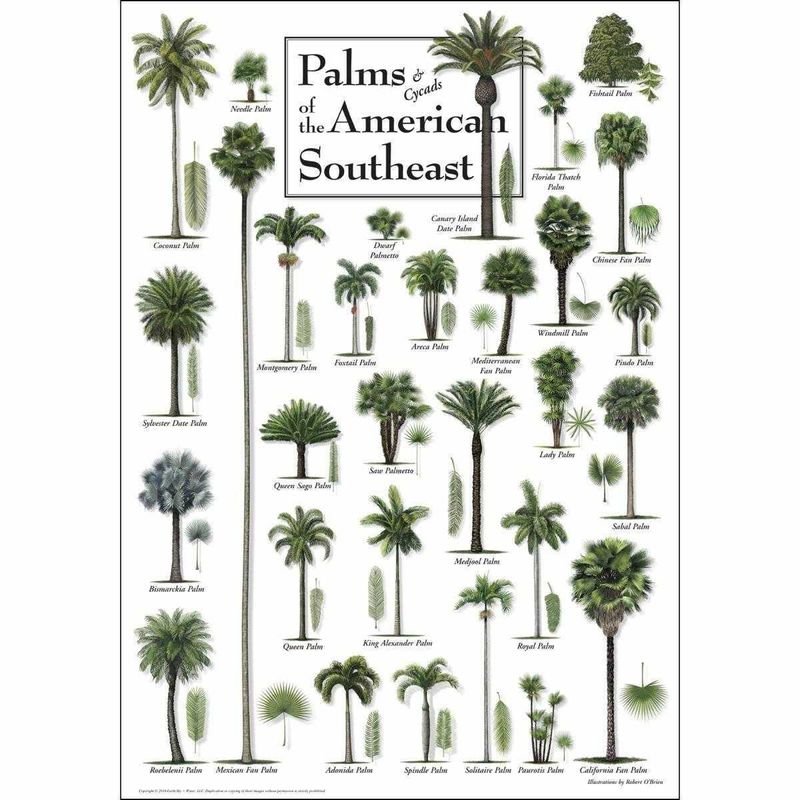 Plant and tree list