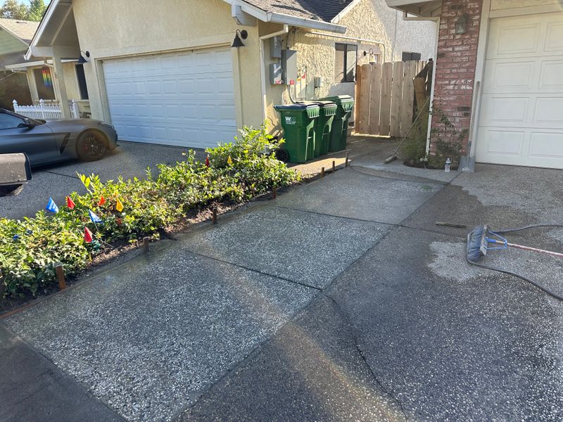 Landscape Design