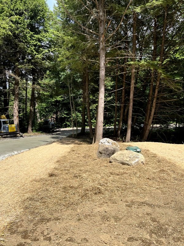 Land Clearing & Demolition