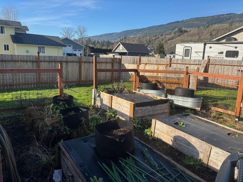 Fall and Spring Clean Up