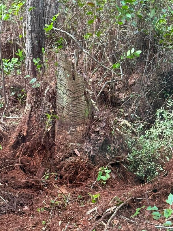 Land Clearing