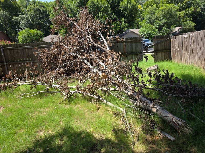 Storm Debris Removal
