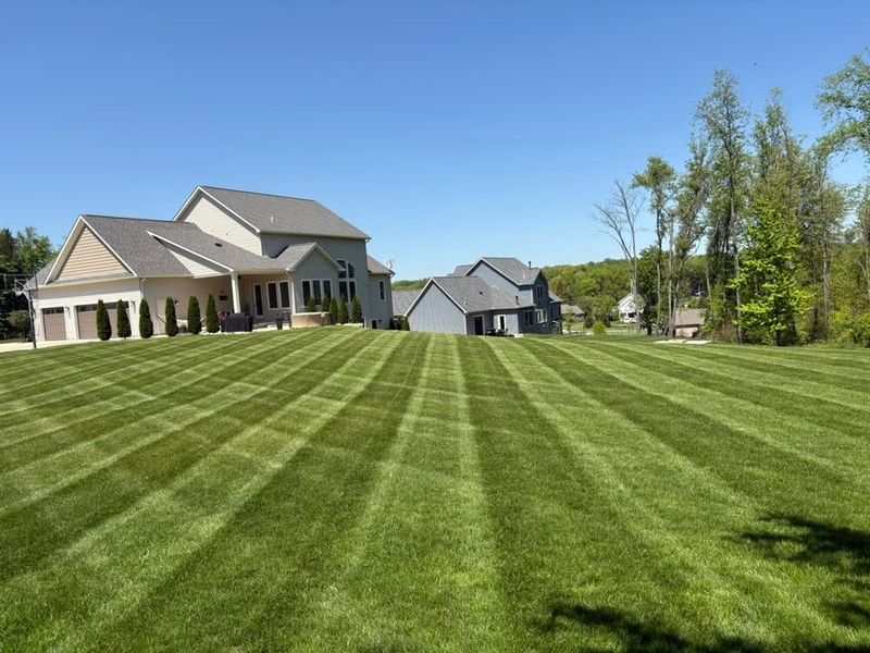 Lawn Maintenance