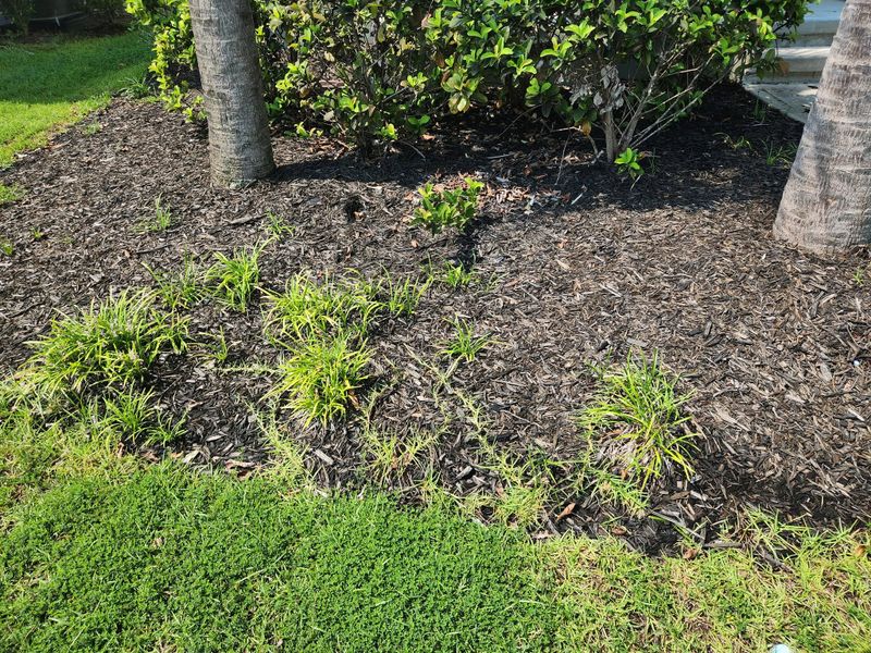 Mulch Bed Installation and Renovation