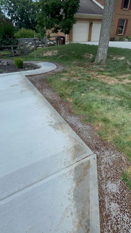 Sod and Grass Seed Installation