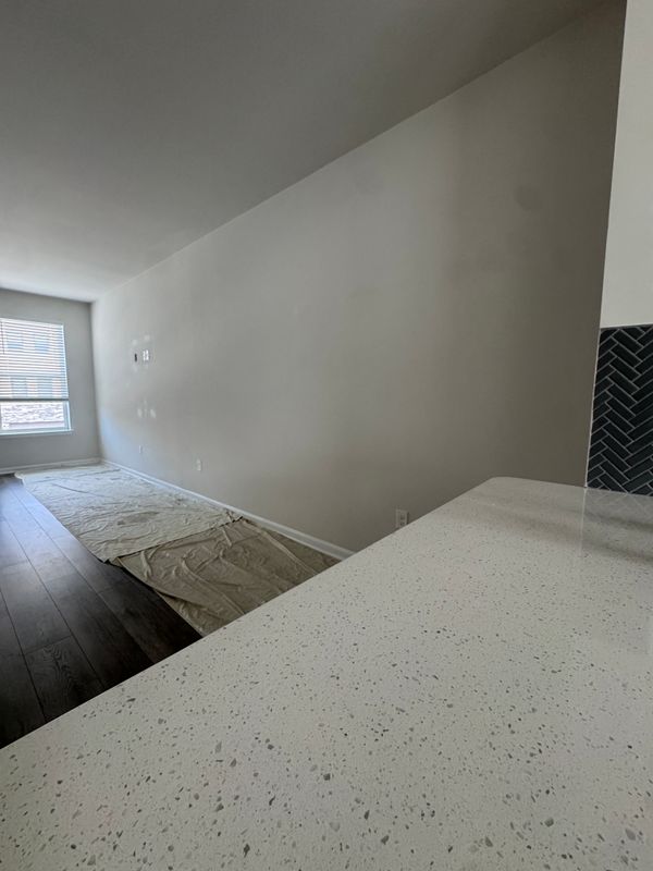 Other Painting Services