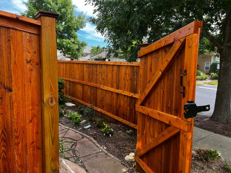 Deck and Fence Staining