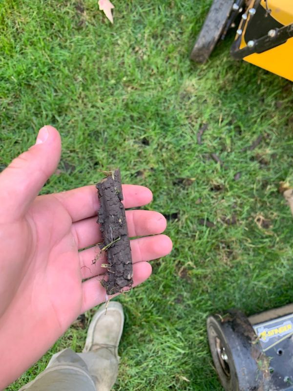 Core Aearation Overseeding