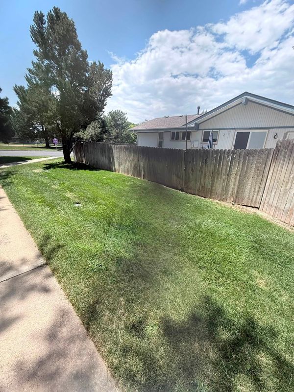 Lawn Maintenance