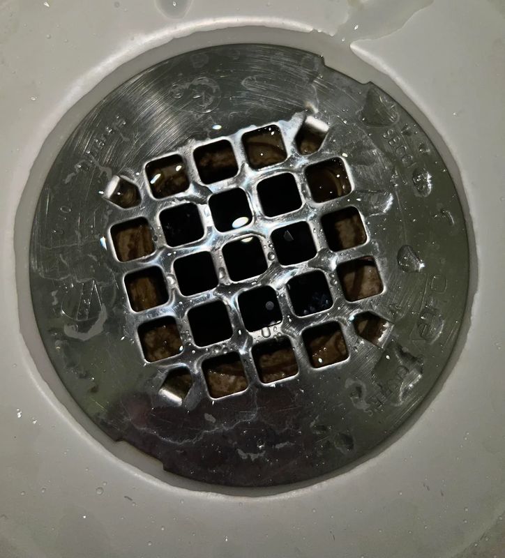 Drain Inspections / Repairs