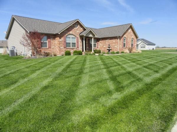 Lawn Maintenance