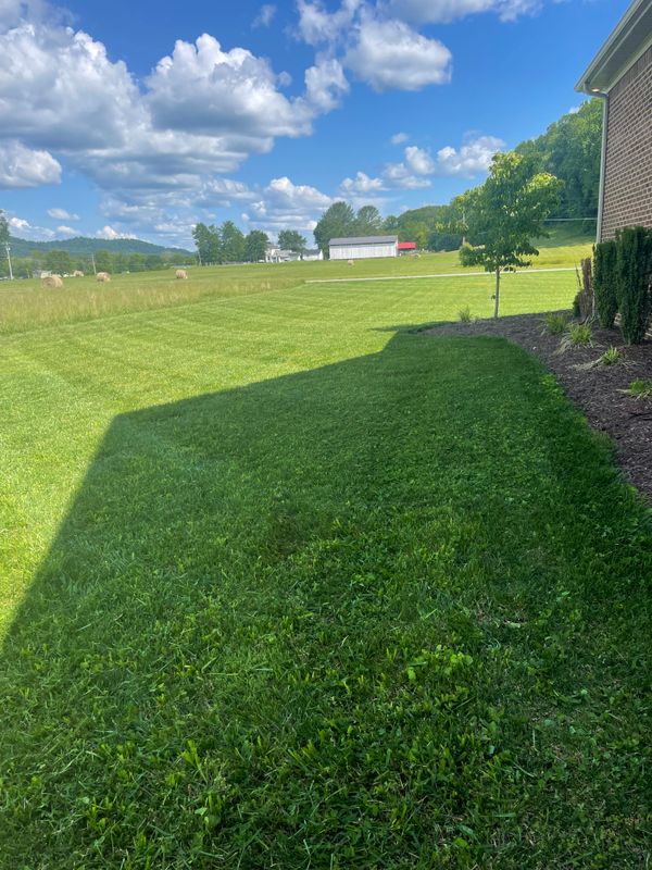Lawn Maintenance