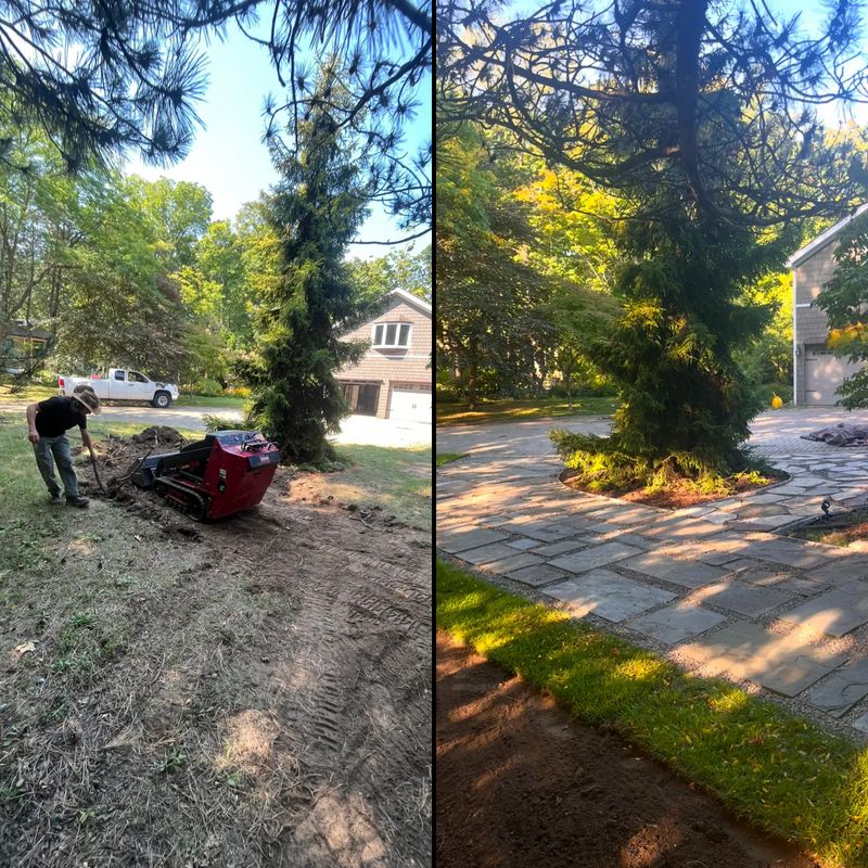 Before & After