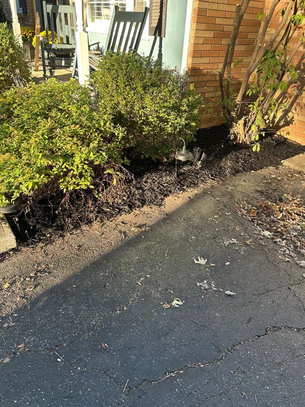 Garden Care and Planting