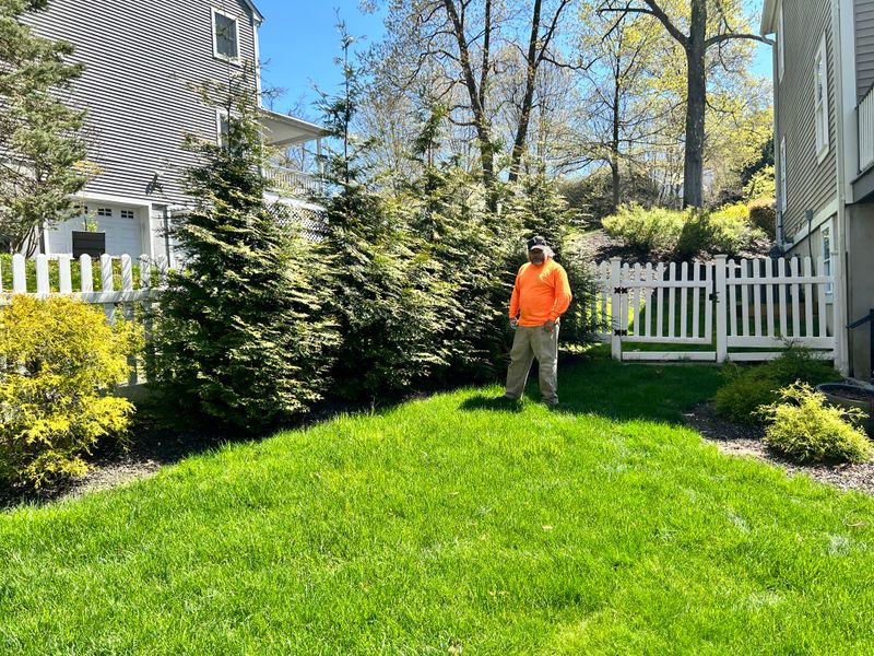 Landscaping