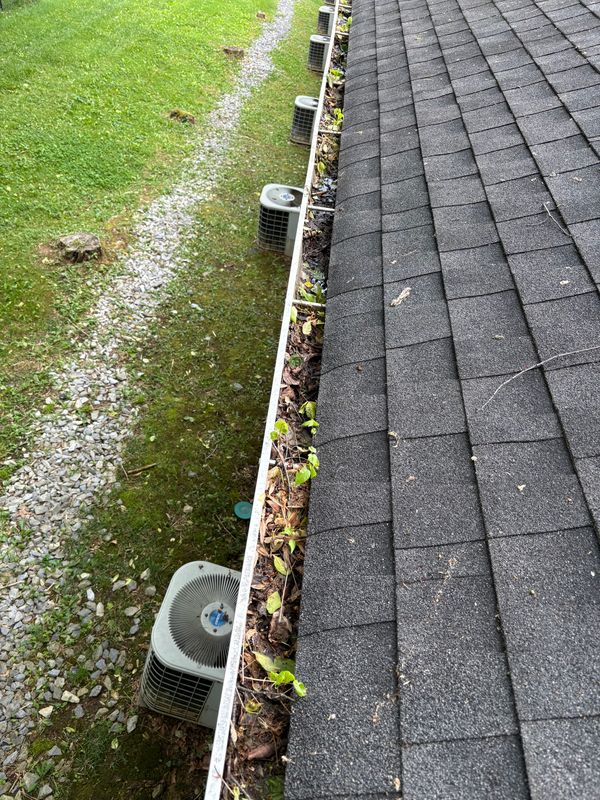 Gutter cleaning/ powerwashing/ soft washing