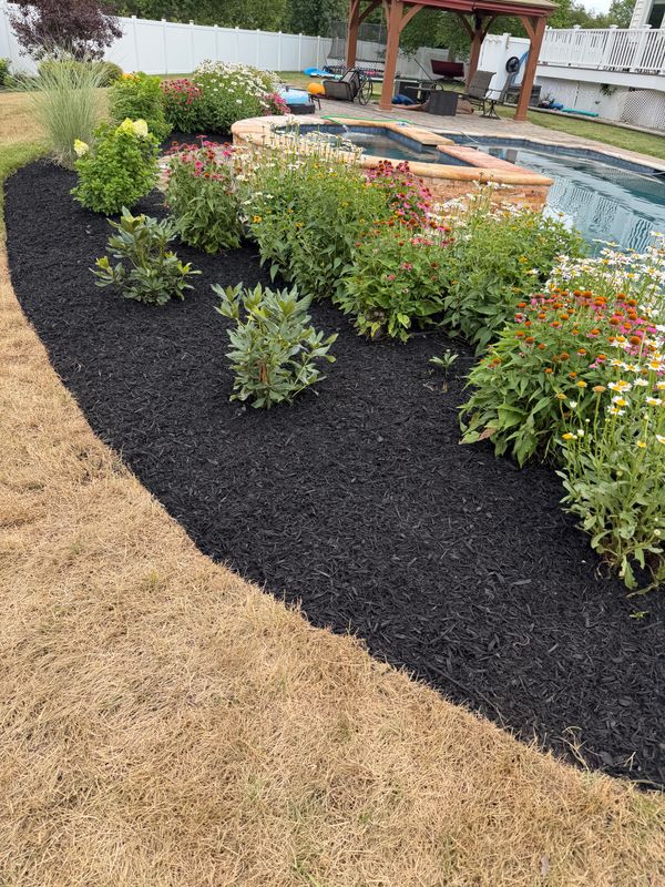 Tree & Perennial Planting