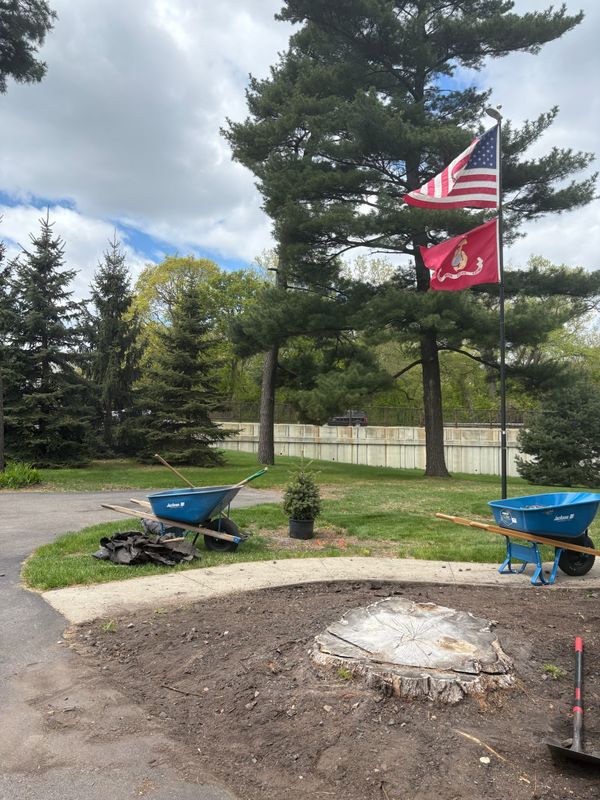 Stump Grinding