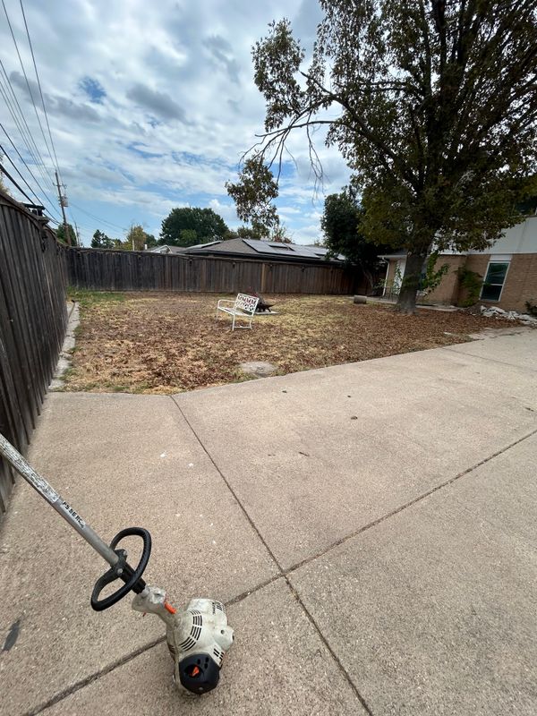 Shrub Trimming