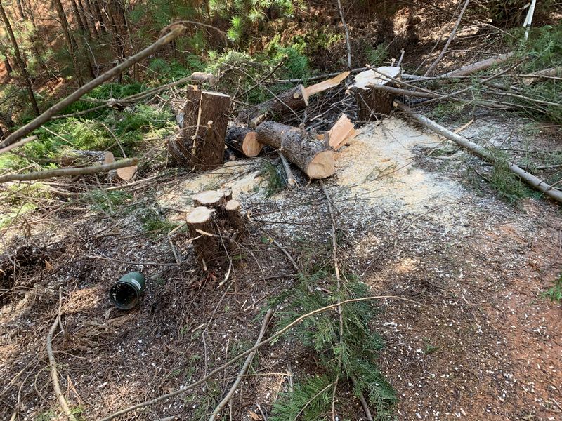 Debris Cleanup