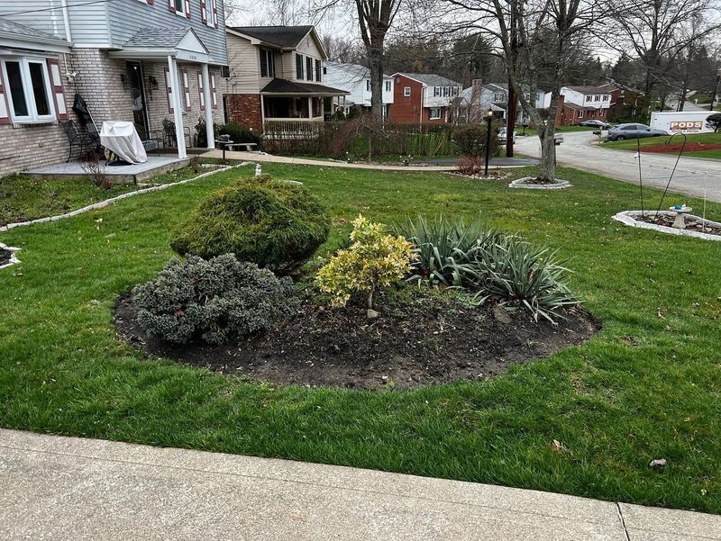 Lawn Maintenance
