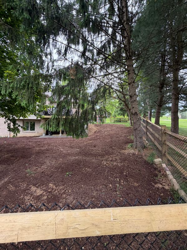 Land Clearing