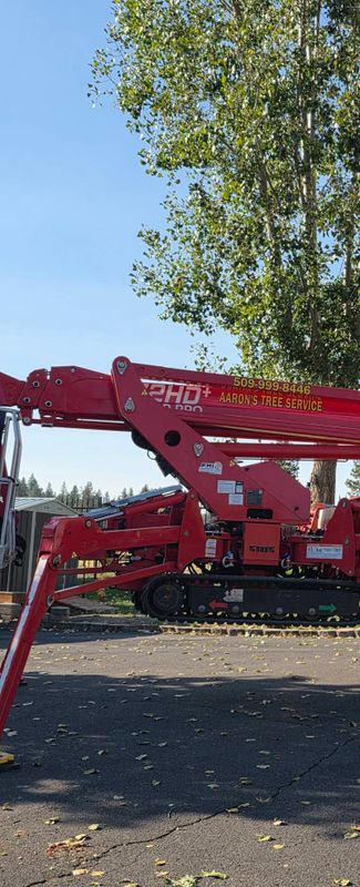 Tree Services