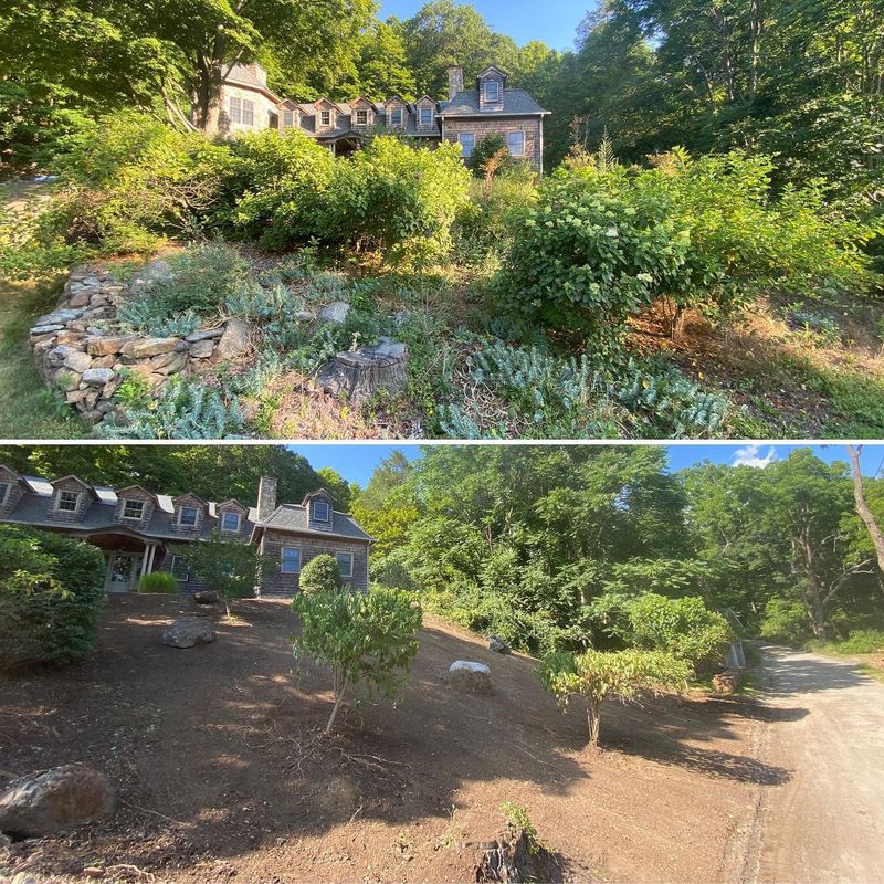 Landscaping
