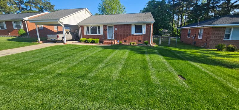 Sod Installation