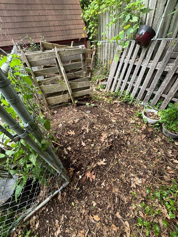 Full Property Cleanouts