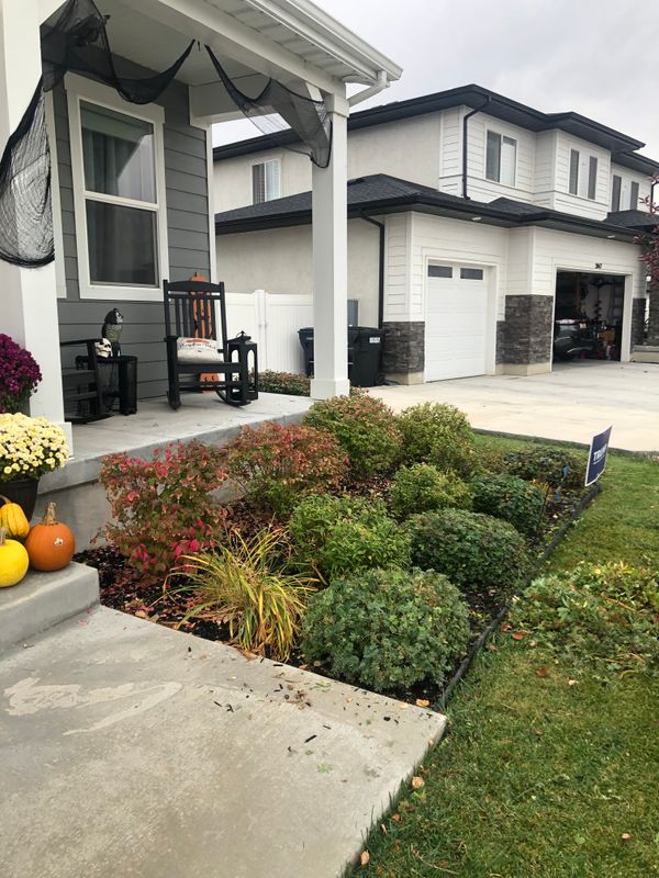 Shrub Trimming