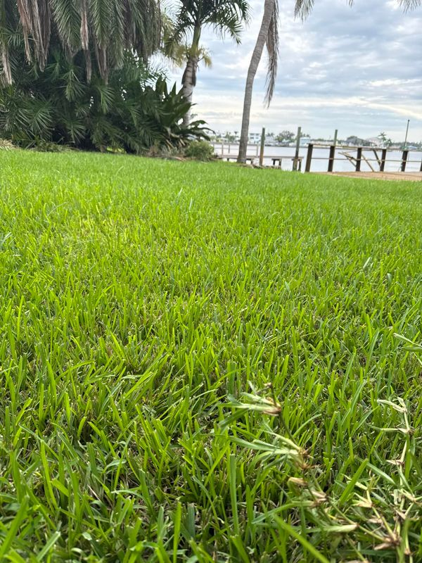Mowing