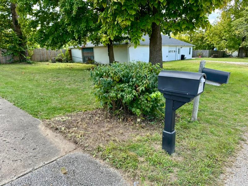 Shrub Trimming