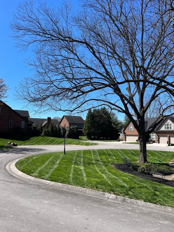 Sod Install