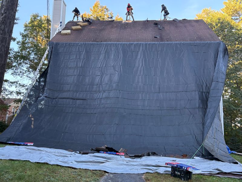 Roofing Repairs