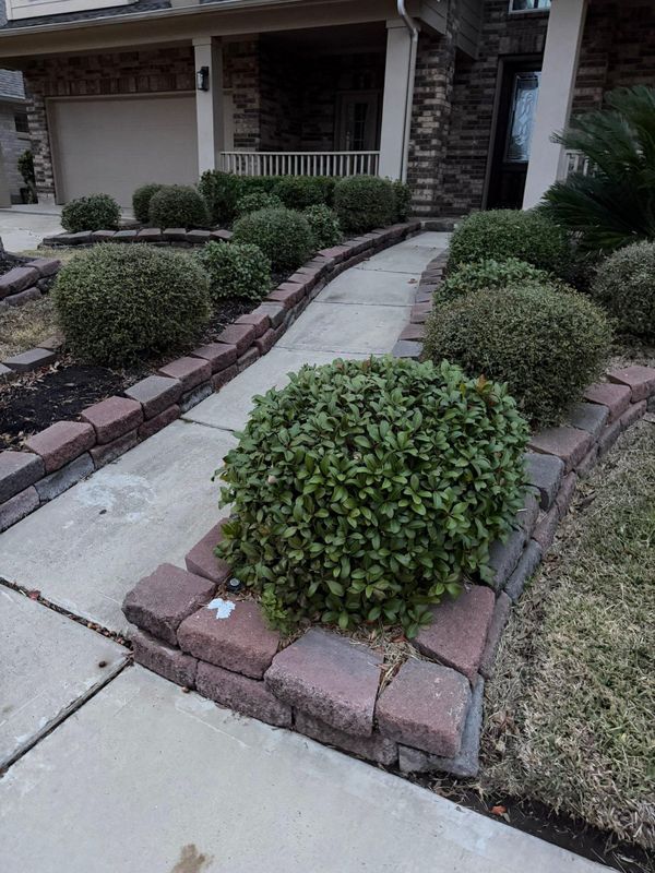 Landscape Border Systems