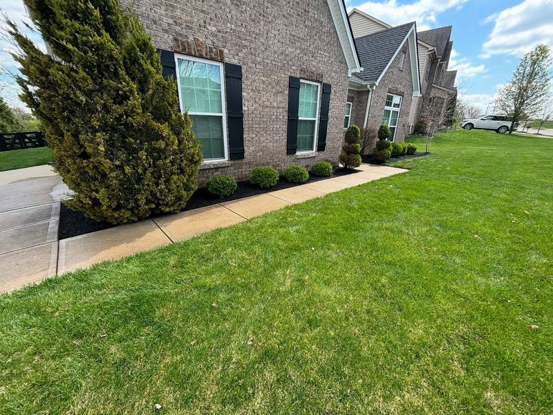 Landscaping
