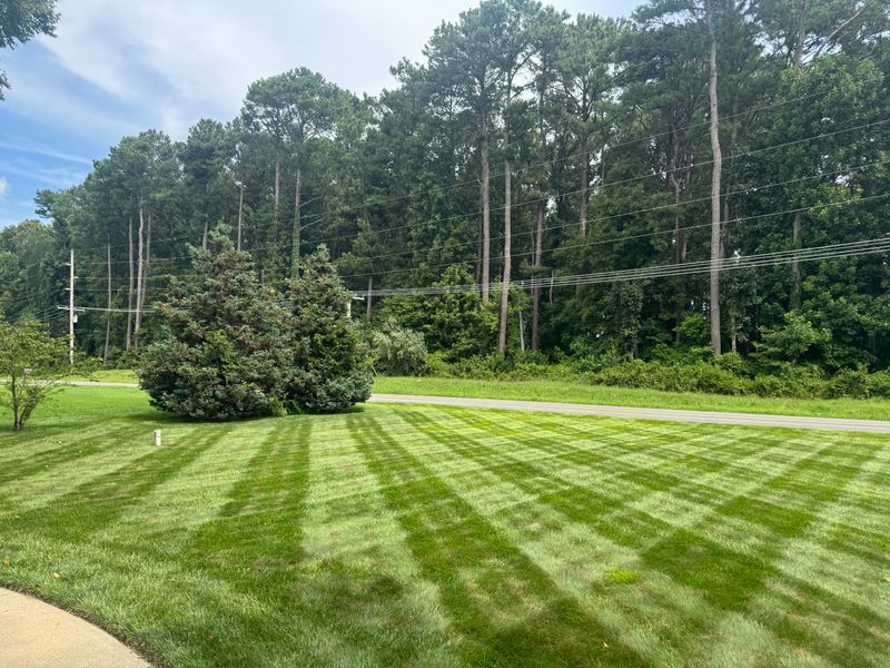 Lawn Mowing & Maintenance