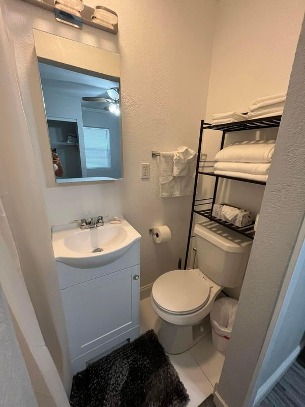 Bathroom Cleaning