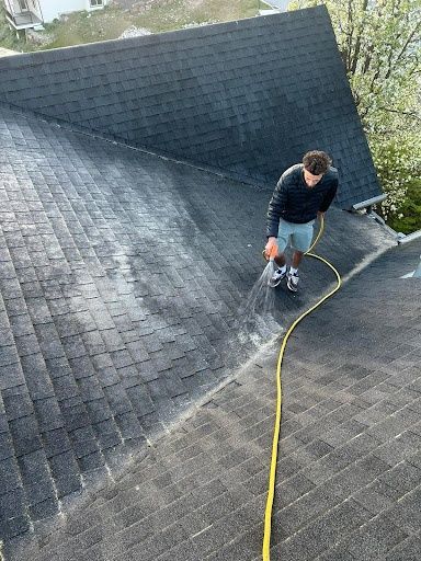 Roof Cleaning