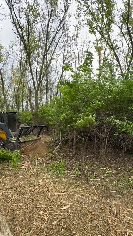 Land Clearing