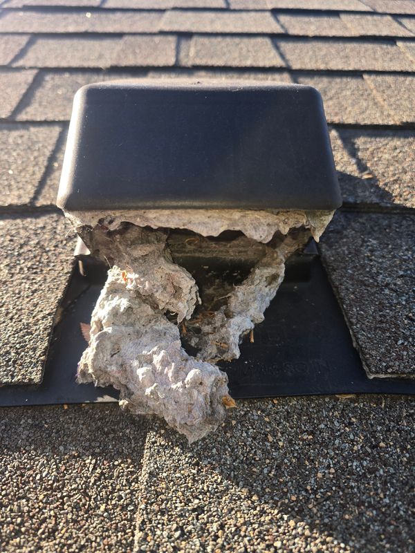 Dryer Vent Cleaning