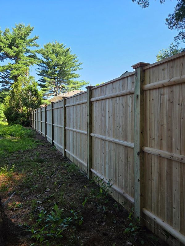 Wooden Fences