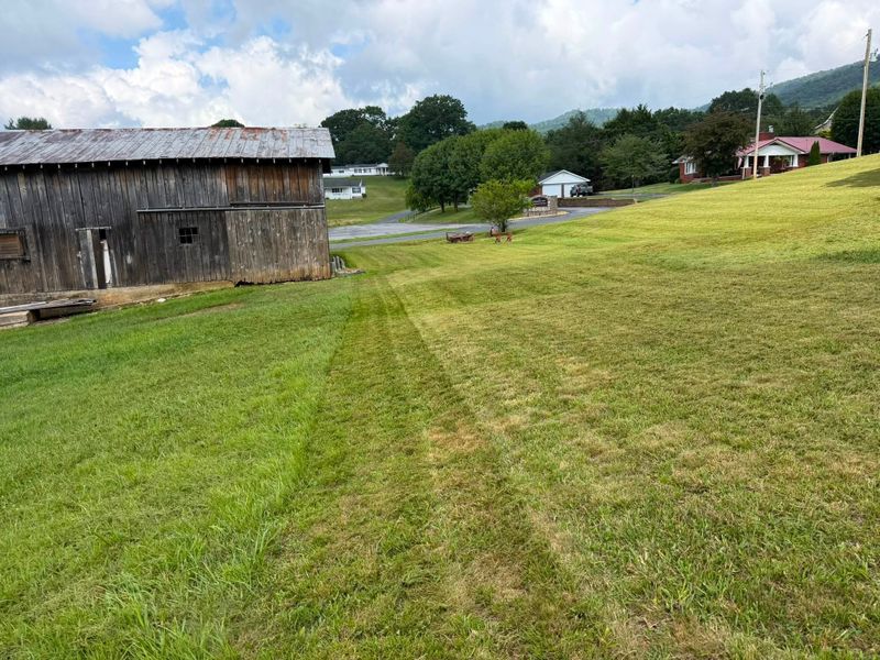 Lawn Maintenance