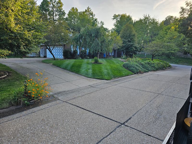 Lawn Maintenance Service
