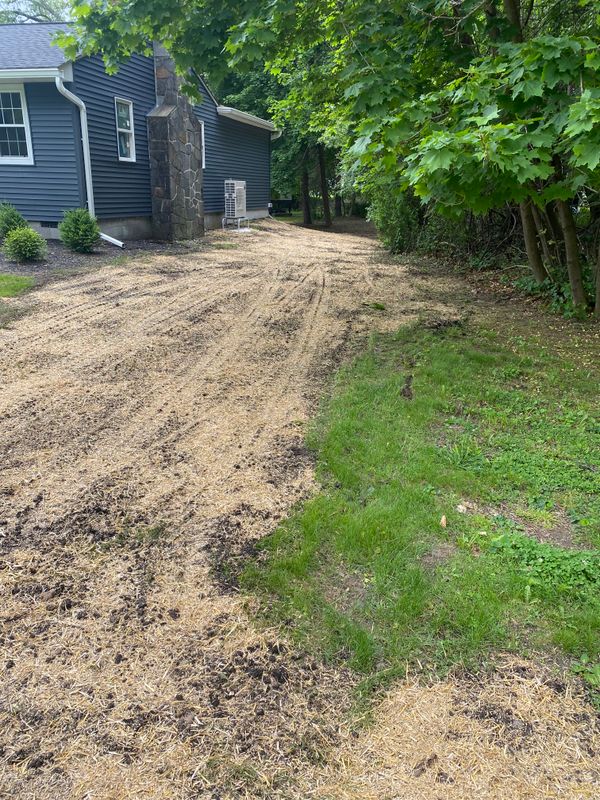Landscape Design & Construction