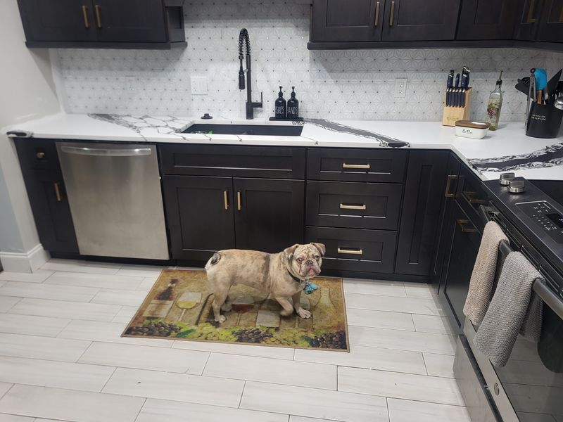 Kitchen Renovation