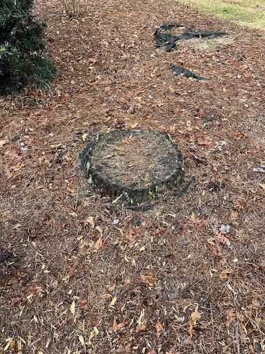 Stump Removal