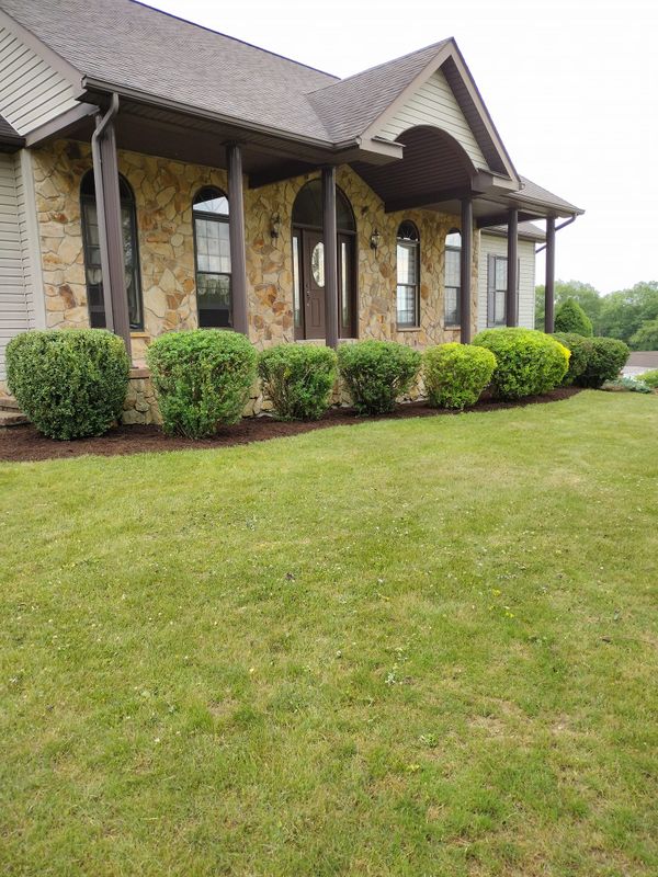 Landscaping