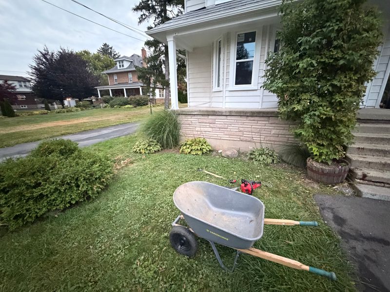 Lawn Care